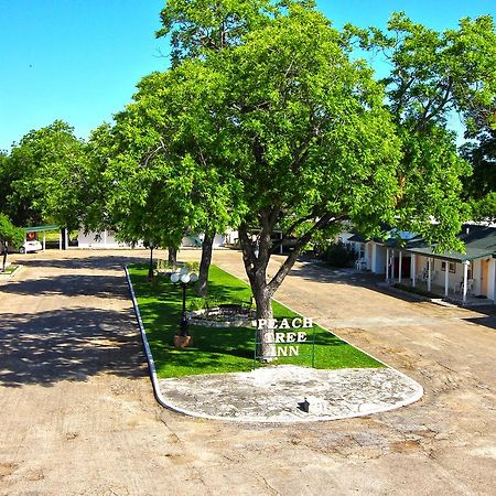 Peach Tree Inn & Suites Fredericksburg Ngoại thất bức ảnh